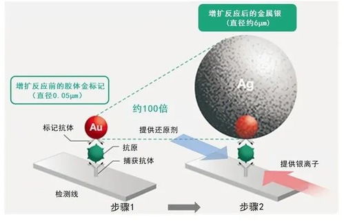 富士膠片開發(fā)高靈敏新冠檢測試劑盒 銀擴增技術的技術創(chuàng)新與水源領域的交叉應用